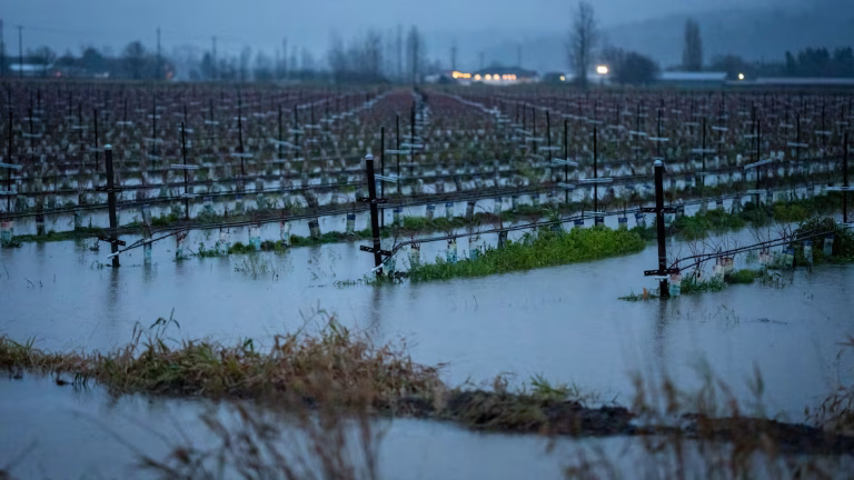 Flood Warnings & Advisories for Southern Fraser Valley Floods